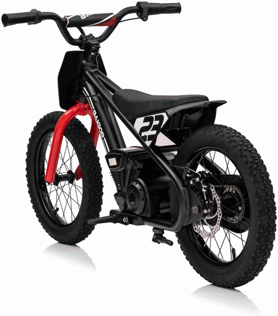 Elektrinis motociklas BAIGOR 23 PRO, Juodas