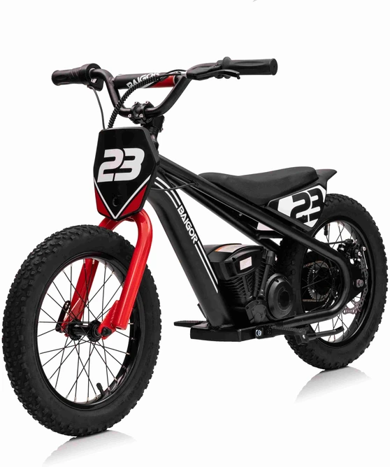 Elektrinis motociklas BAIGOR 23 PRO, Juodas