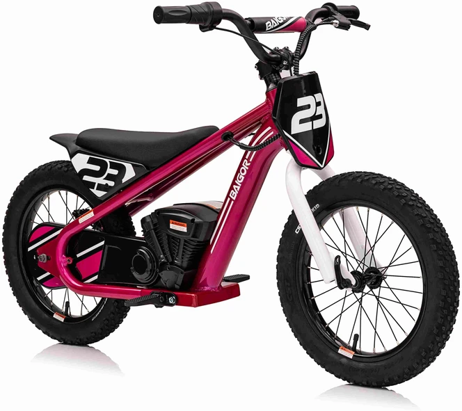 Pink Rožinė Elektrinis motociklas BAIGOR 23 PRO, Rožinė