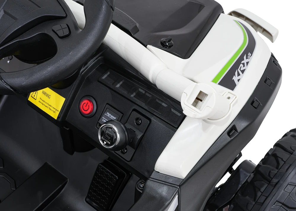 Elektrinis Buggy Kawasaki TERYX KRX1000, Pilkas