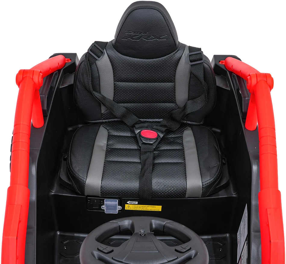 Elektrinis Buggy Kawasaki TERYX KRX1000, Raudona