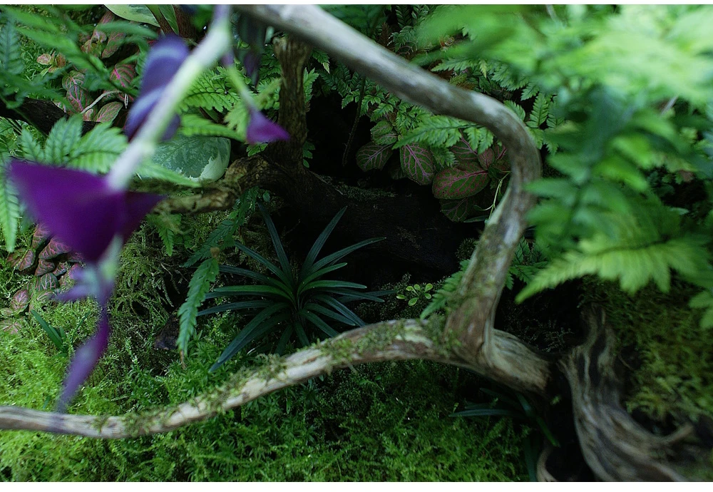„Yokuchi Hohi Caps Terarium“ trąšų kapsulės - 10 vnt.