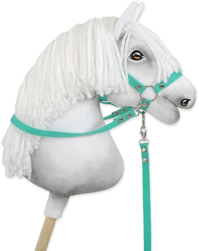 Super Hobby Horse Hobio žirgo kamanos – mėtinės
