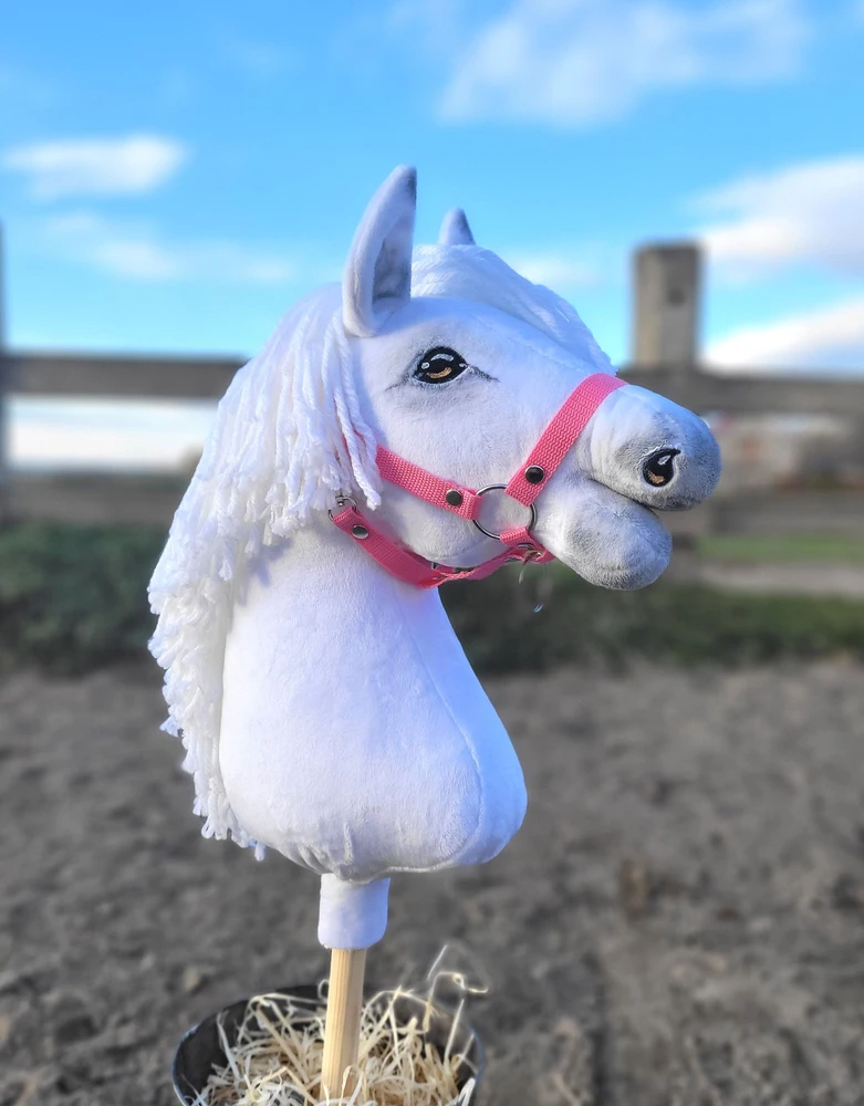 Super Hobby Horse Medinis hobio arkliukas – baltas
