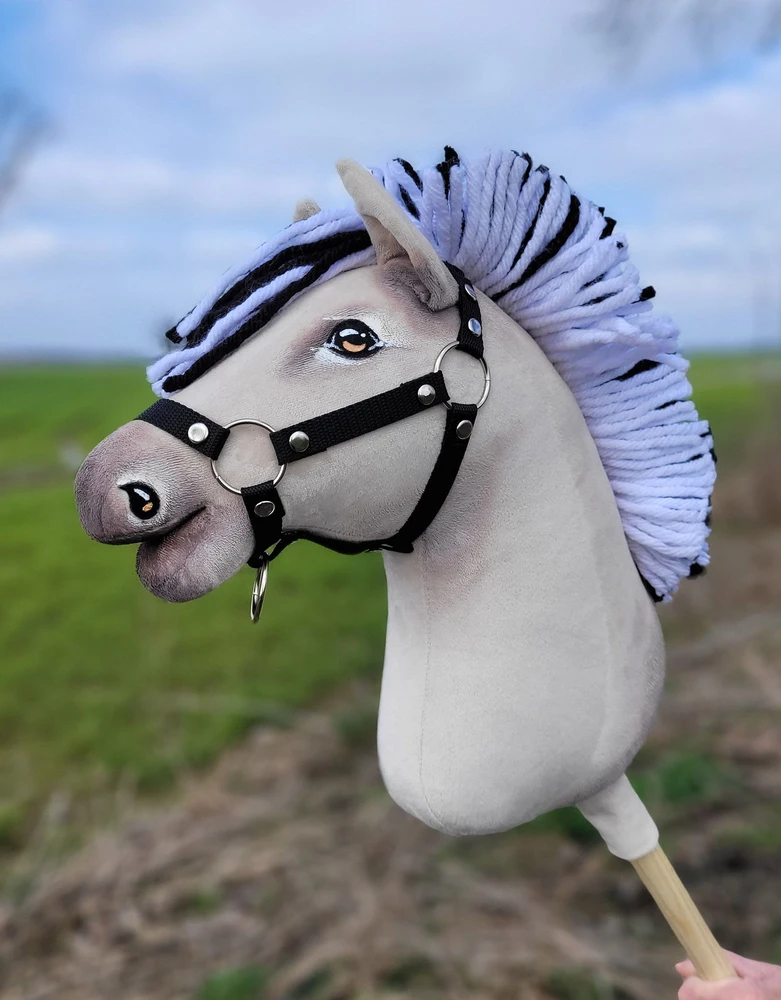 Super Hobby Horse Medinis žirgas su kotu – fjordas Premium