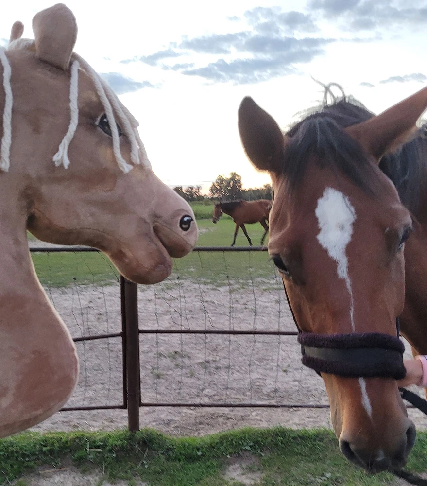 Super Hobby Horse Medinis žirgas su kotu – palomino spalva