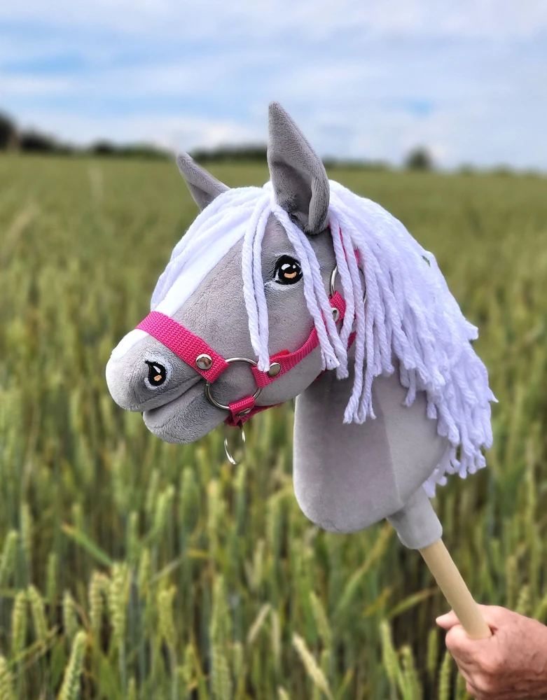 Super Hobby Horse Hobby Horse pilkas arkliukas ant lazdos Premium A4