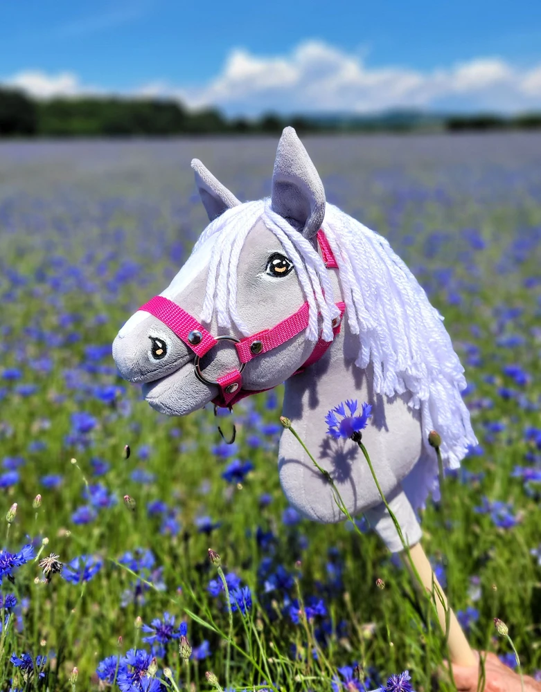 Super Hobby Horse Hobby Horse pilkas arkliukas ant lazdos Premium A4