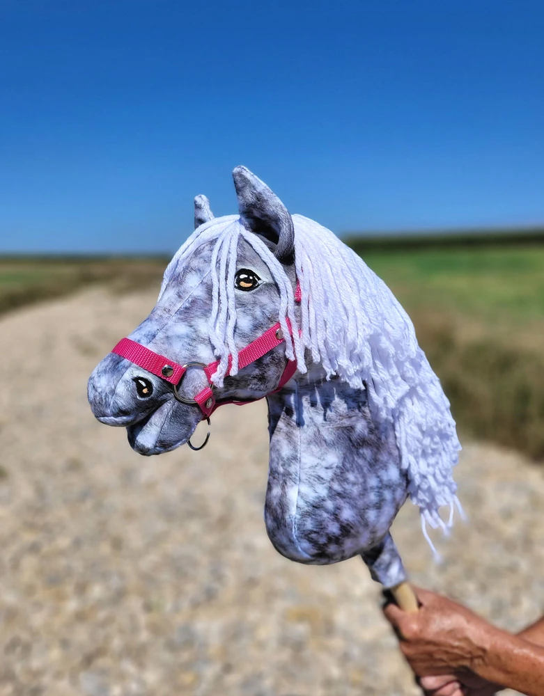 Super Hobby Horse Medinis hobio arkliukas pilkas su balta karčia