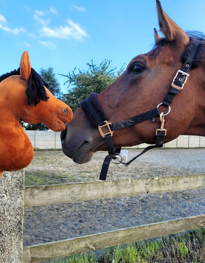 Super Hobby Horse Medinis žirgas su kotu – šviesiai rudas, Premium