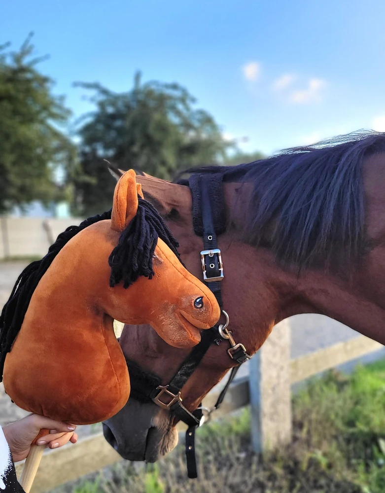 Super Hobby Horse Medinis žirgas su kotu – šviesiai rudas, Premium