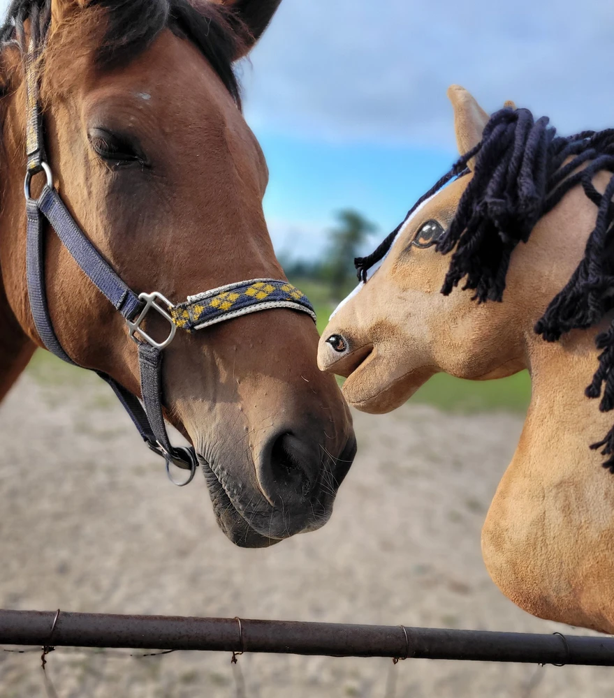 Super Hobby Horse Medinis žirgas ant lazdos šviesiai rudas Premium