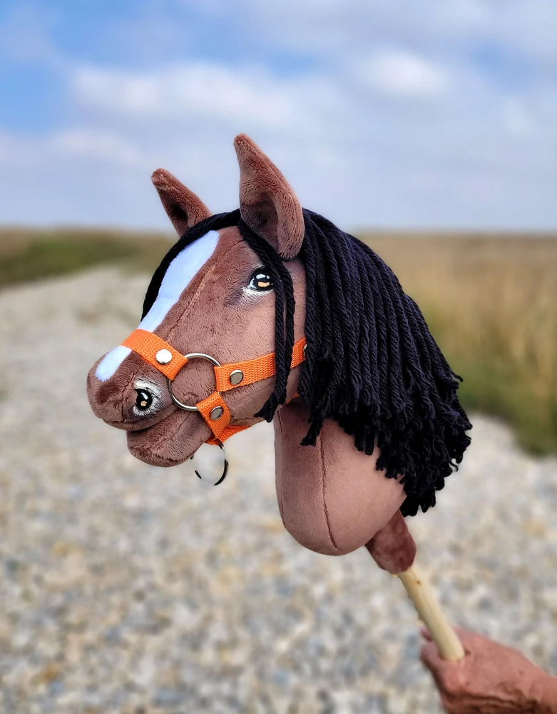 Super Hobby Horse Hobby Horse arkliukas Super Premium rudas A4