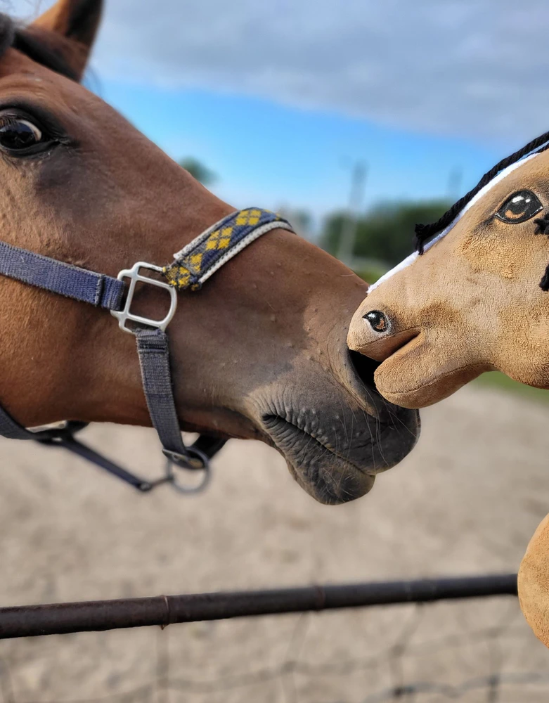 Super Hobby Horse Medinis žirgas ant lazdos šviesiai rudas Premium