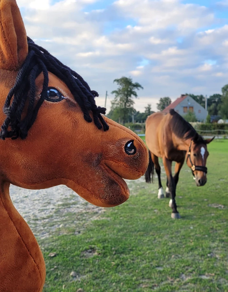 Super Hobby Horse Medinis žirgas su kotu – šviesiai rudas, Premium