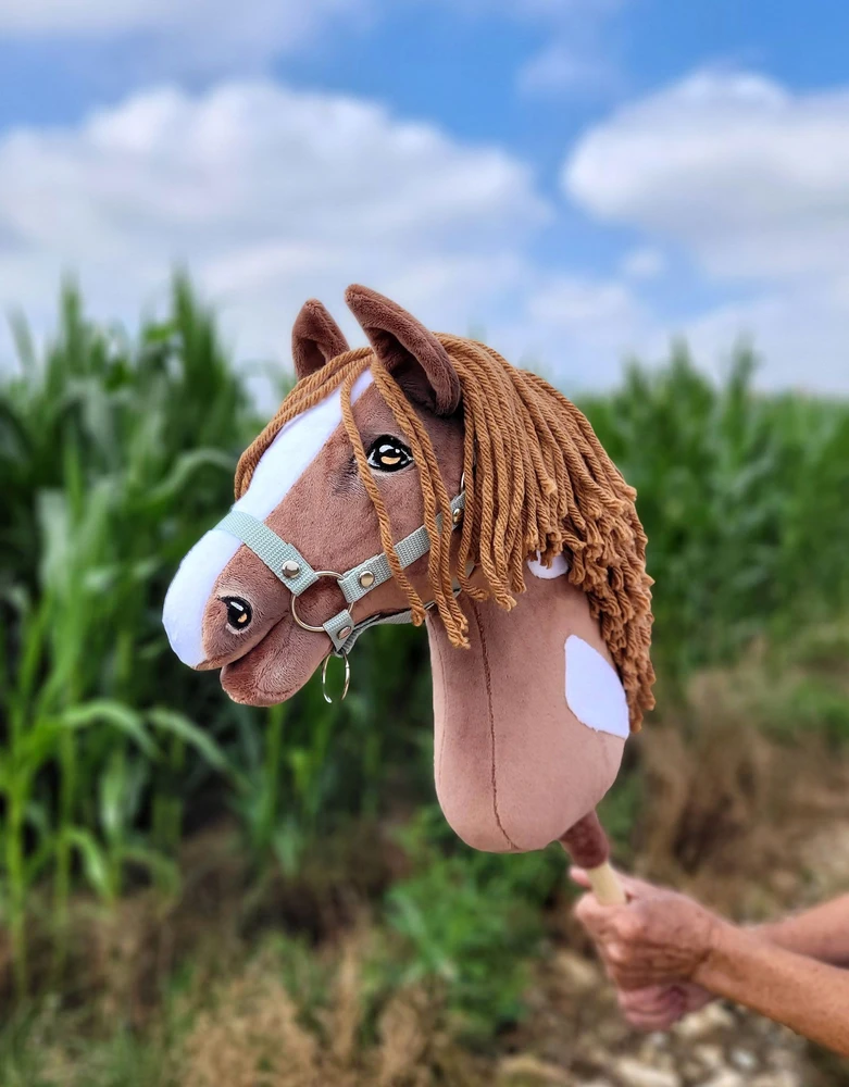 Super Hobby Horse Žaislinis arkliukas vaikams rudas su lazdele