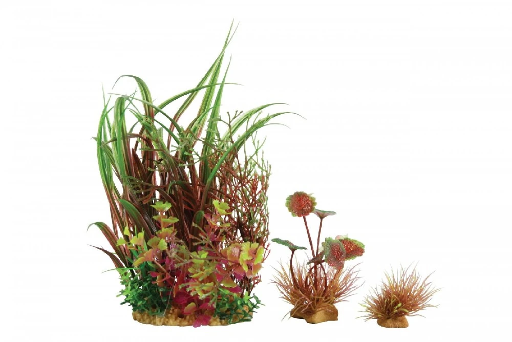 Zolux augalų dekoracija akvariumui Plantkit Wiha modelis 3, natūrali