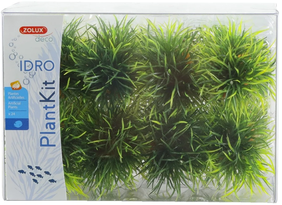 Zolux mažų dekoratyvinių akvariumo augalų rinkinys, 24 vnt., akvariumui