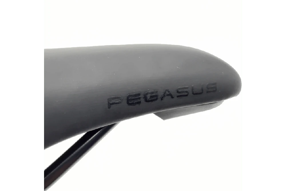 Dviračio balnas Pegasus VL-6582 unisex