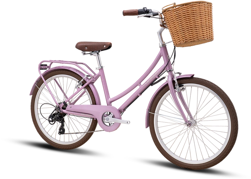 Dviratis 24" POLYGON OOSTEN PURPLE