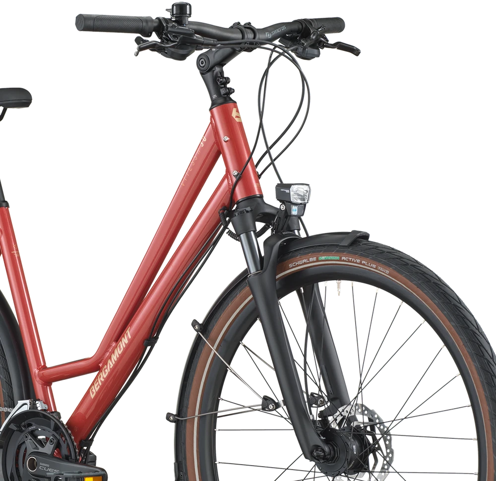 Dviratis 28 BERGAMONT VITESS 30 AMSTERDAM red bergamont