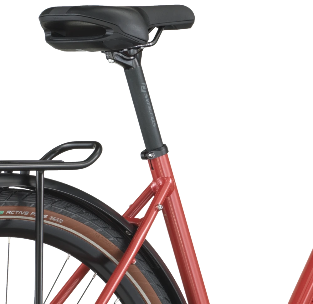 Dviratis 28 BERGAMONT VITESS 30 AMSTERDAM red bergamont