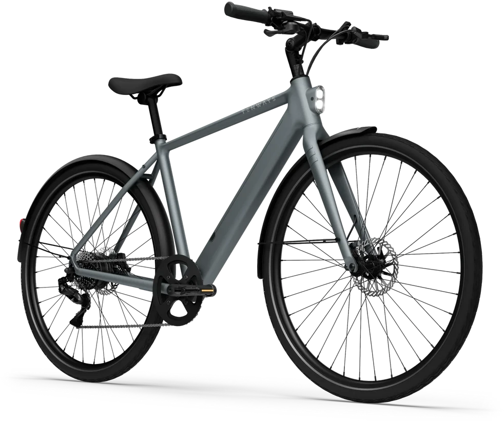 Dviratis 28" elektrinis Tenways CGO600 PRO 250Wh vyr. pilkas matinis
