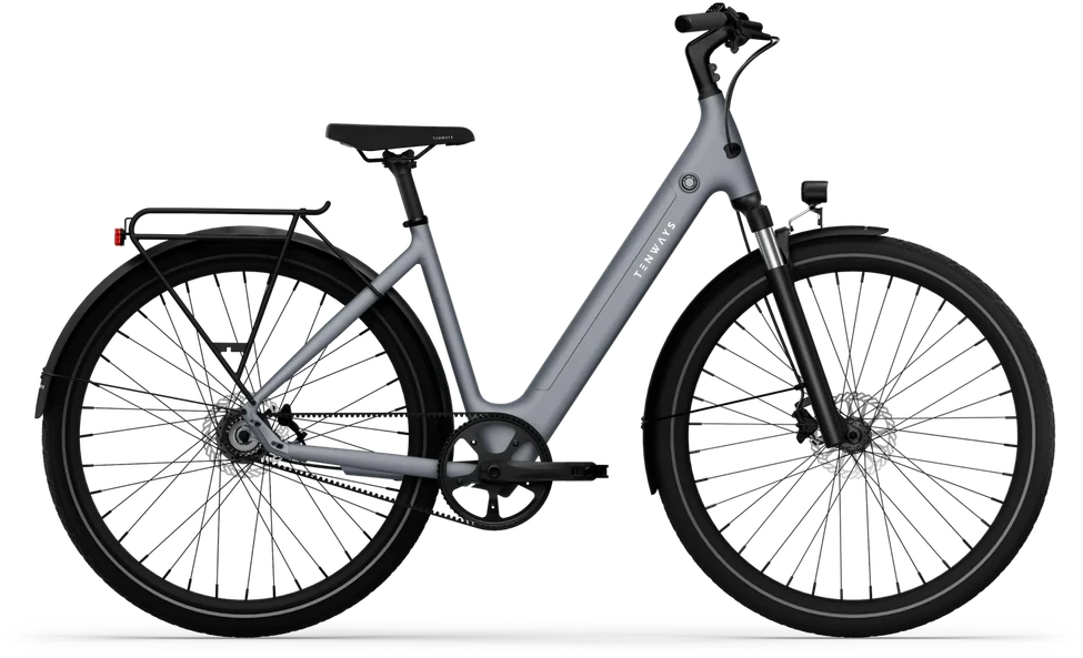 Dviratis 28" elektrinis Tenways CGO800S 374Wh unisex pilkas matinis 48cm one size