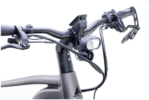 Dviratis 29" elektrinis Bulls Vuca Evo Speed FSX1 960Wh pilkas