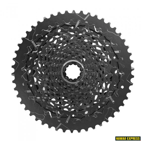 Galinis žvaigždžių blokas SRAM NX Eagle PG-1230 12-speed