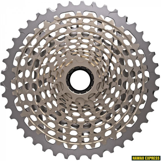 Kasetė SRAM XG-1199 XX1 10-42T 11g