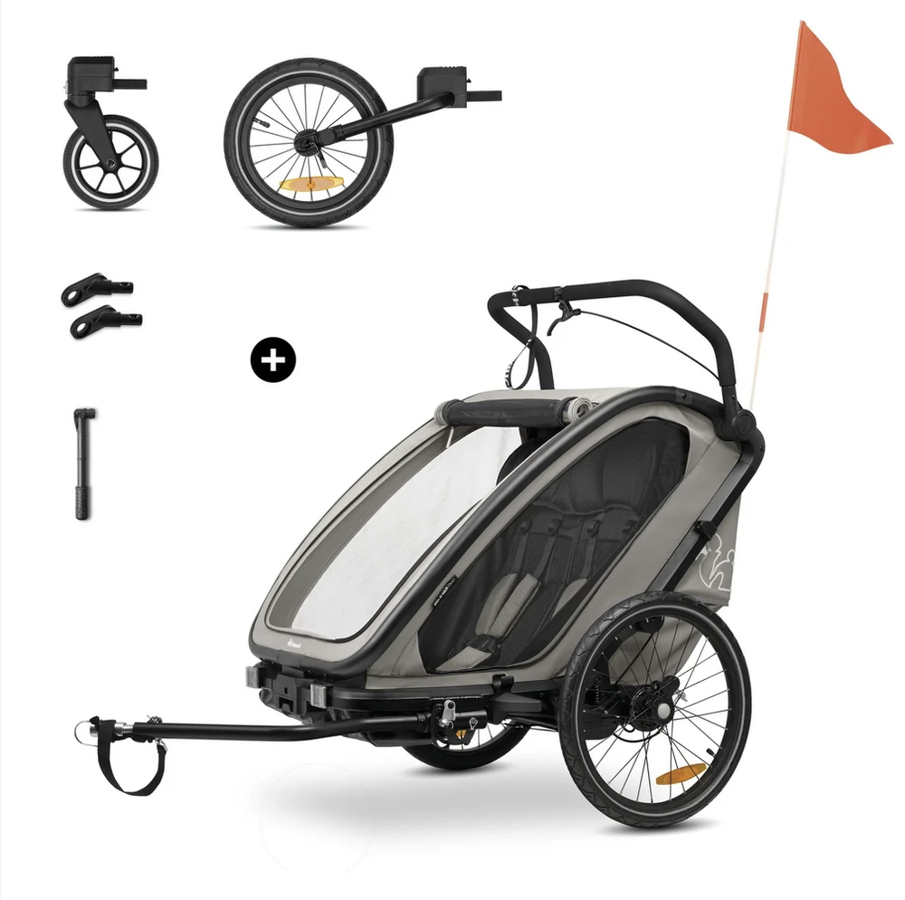 Vežimėlis vaikams prie dviračio Hauck N Walk Duo pilkas