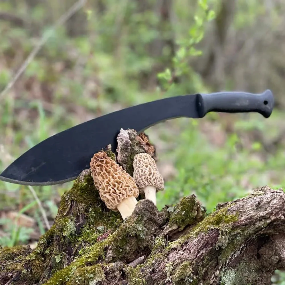Mačetė Cold Steel KUKRI 13"