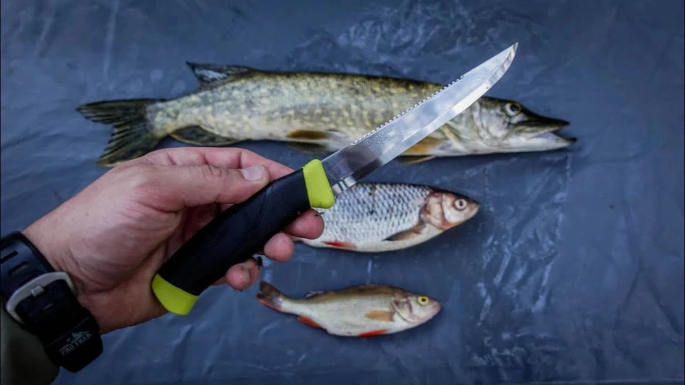 Žuvies filiavimo peilis Morakniv® Companion Fishing Scaler 098