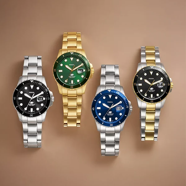 Laikrodis FOSSIL FS6030