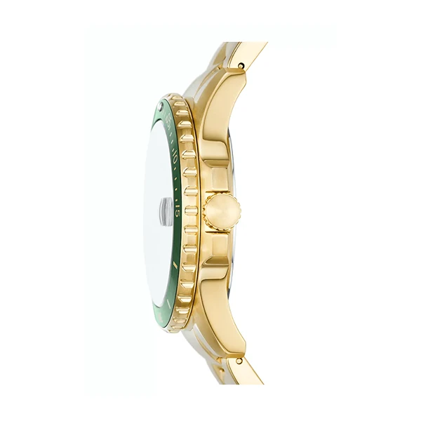 Laikrodis FOSSIL FS6030