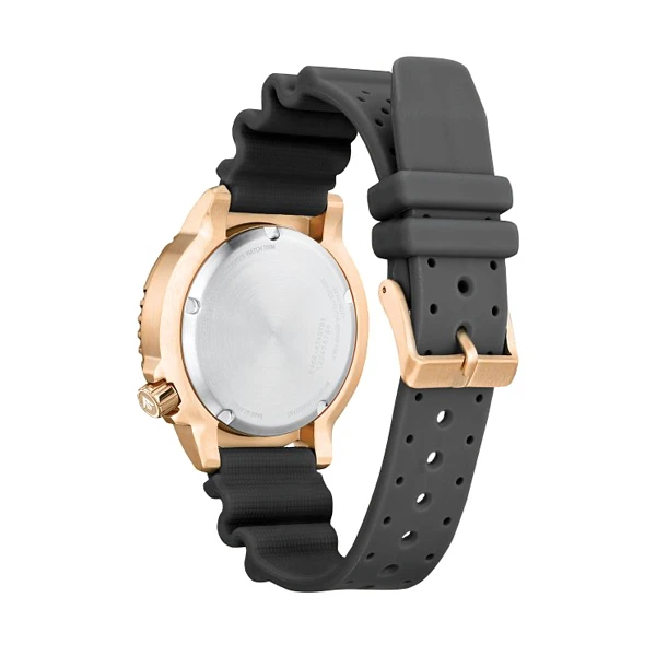 Laikrodis CITIZEN BN0163-00H