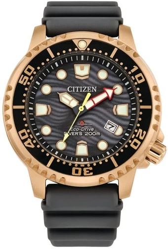 Laikrodis CITIZEN BN0163-00H