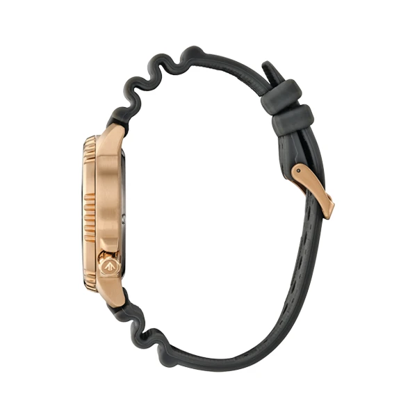 Laikrodis CITIZEN BN0163-00H