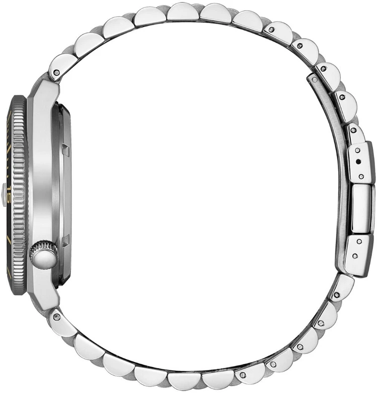 Laikrodis CITIZEN NJ0238-57E