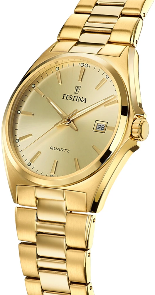 Laikrodis FESTINA WATCHES F20555/3