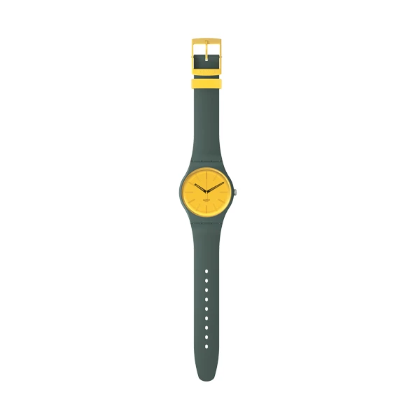 Laikrodis SWATCH WATCHES SO29G103