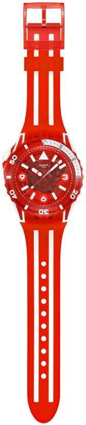 Laikrodis SWATCH LION'S MANE SSCU09R100