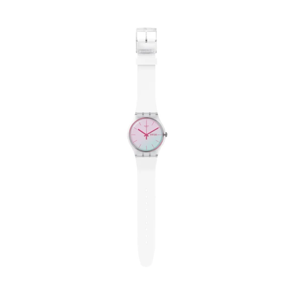 Laikrodis SWATCH POLAWHITE SO29K704-S14
