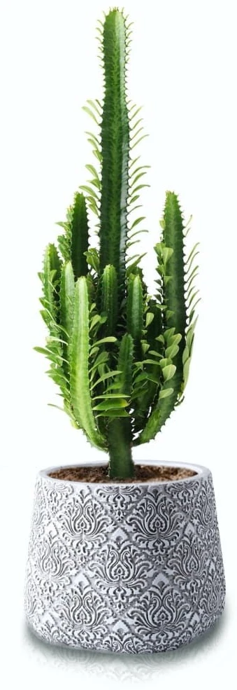 POLNIX Keraminis vazonas ETNO, apvalus, baltas/pilkas, 15 x 13(A) cm