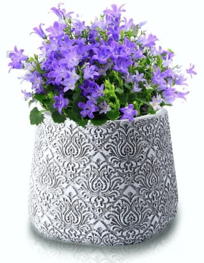 Polnix Dekoratyvinis gėlių vazonas Etno D13cm H11cm pilkas