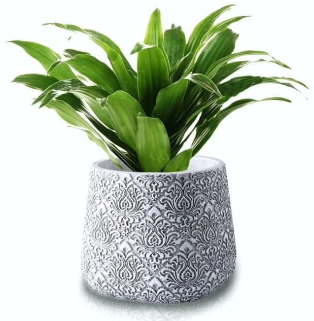 Polnix Dekoratyvinis gėlių vazonas Etno D13cm H11cm pilkas