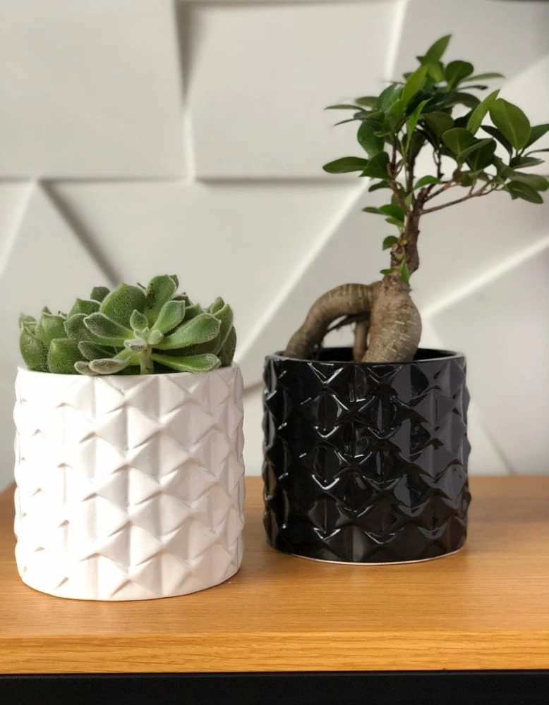 Polnix Dekoratyvinis gėlių vazonas Piano Ø13cm H12cm keraminis/juodas