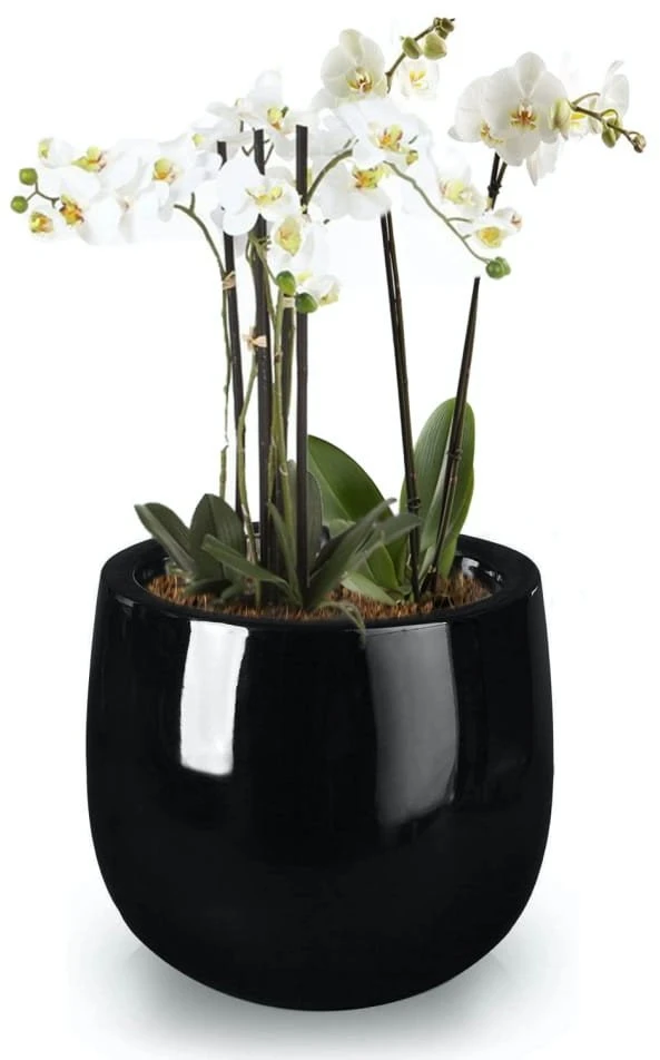 POLNIX Stiklo pluošto vazonas FIBERGLASS, apvalus, juodas, 34 x 35(A) cm