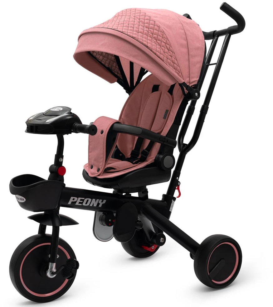 Baby Mix Peony EVA rožinis vaikiškas triratukas